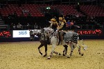 Quadrille - 00691